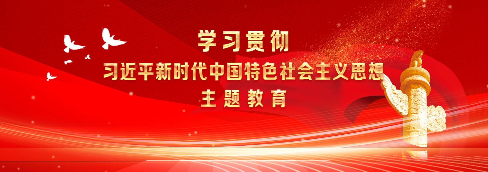 学习贯彻习近平新时代中国特色社会主义思想主题教育